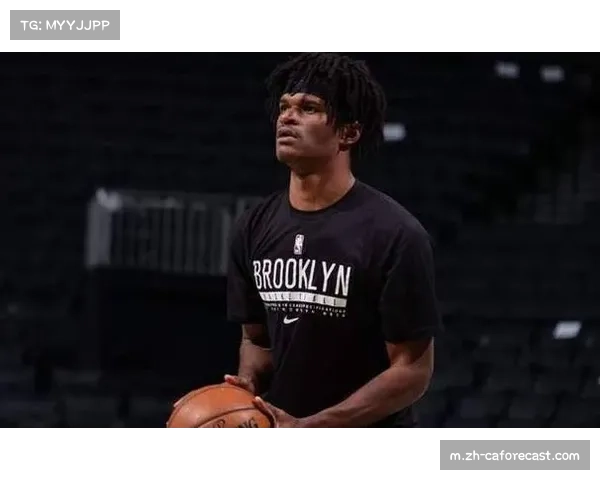 深圳男篮签下阿利兹·约翰逊 提升内线全能性与轮换深度 深圳男篮签下阿利兹·约翰逊 提升内线全能性与轮换深度